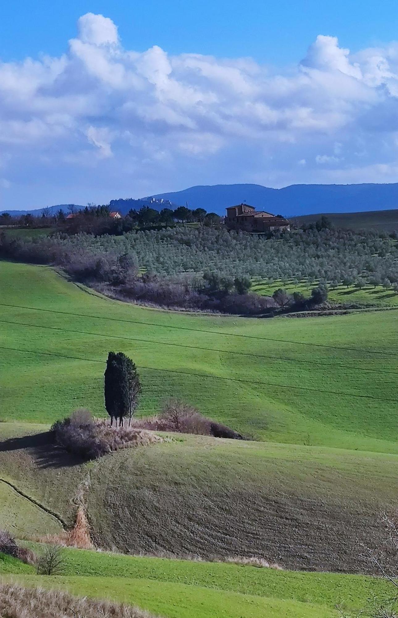 Podere Campiano فولتيرا المظهر الخارجي الصورة